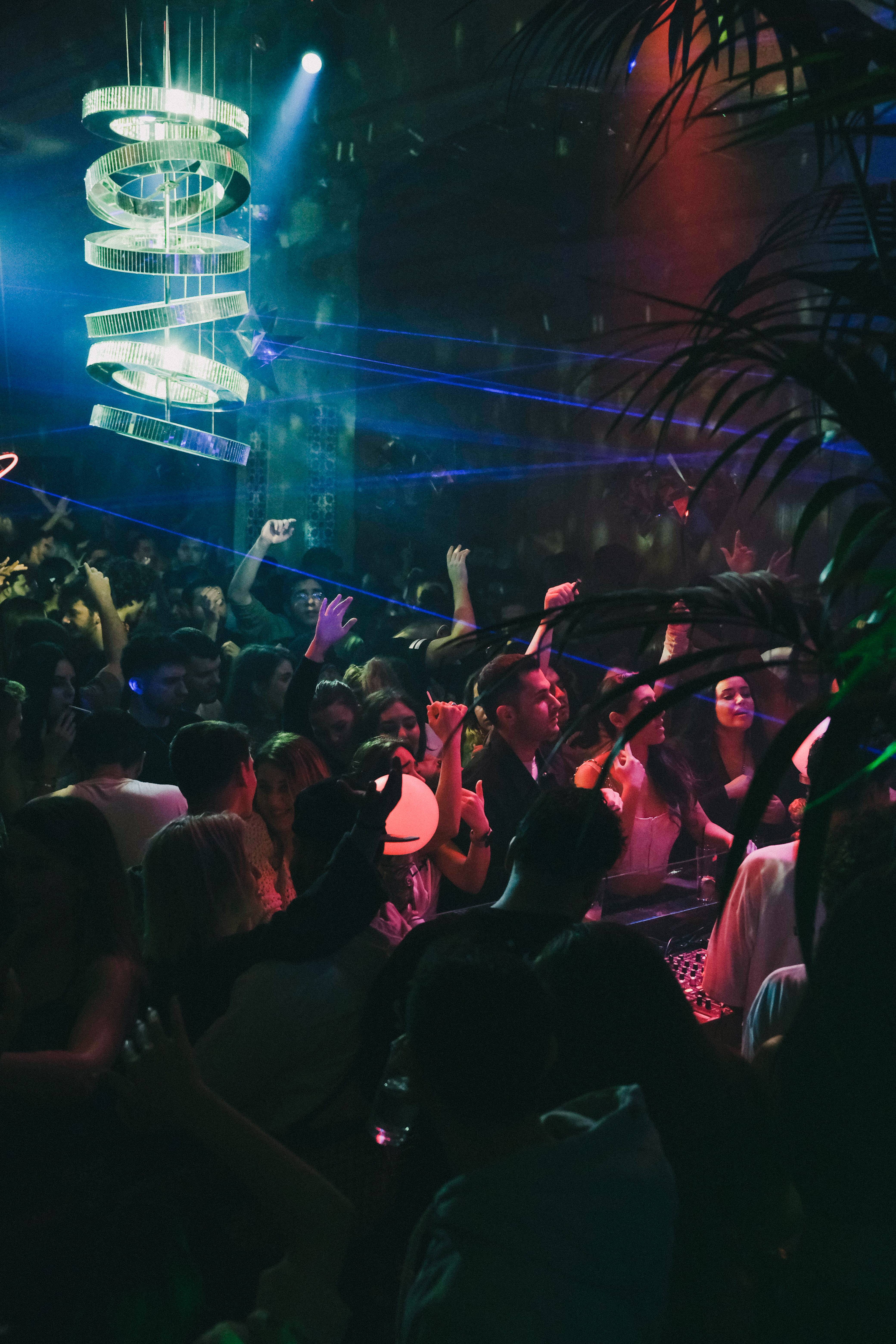 A packed dancefloor under club lighting
