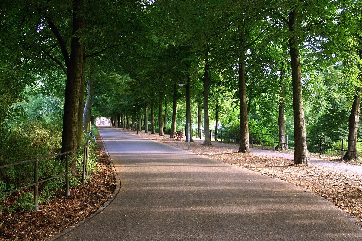 A tree-lined path for walkers and cyclists on Münster's Promenade ring